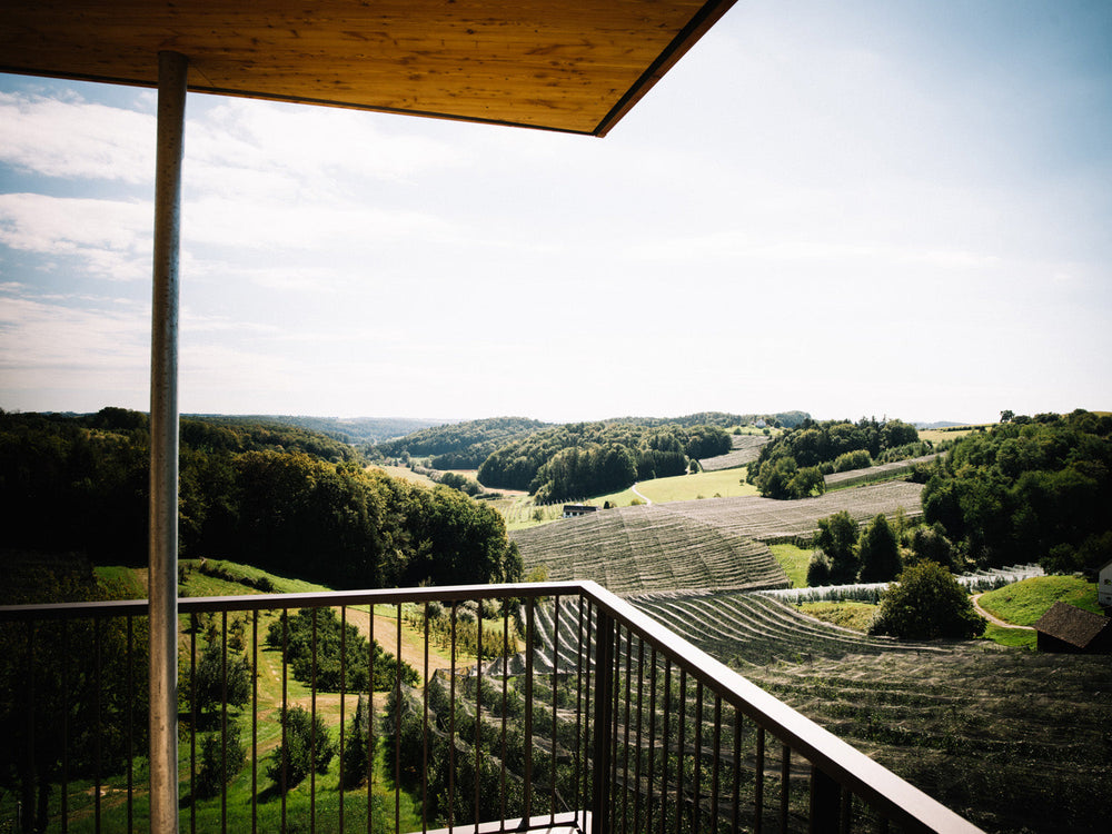 Blick von einem Balkon über hügelige Landschaft mit Obstgärten und Wäldern.